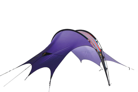 DRAGON FLY TARP AIOT! ver.